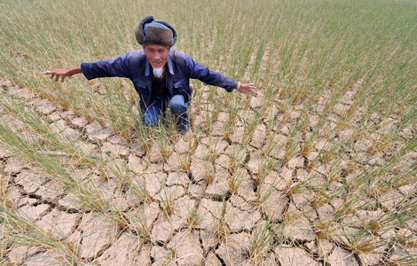 Climate change threatens drop in grain harvest