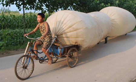 Oil and gas pipelines to be protected