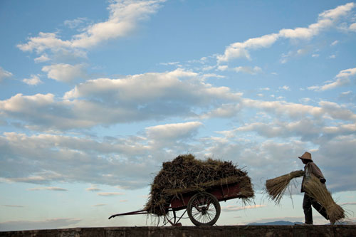 Letting the grain take the strain