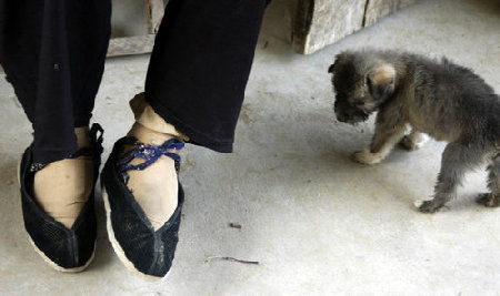 Top 10 moments with our 'best friends'