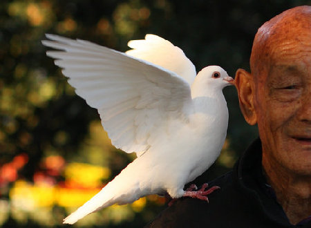 Top 10 moments with our 'best friends'