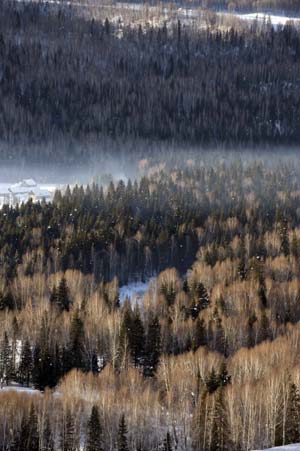 A view in Xinjiang Kanasi scenic area