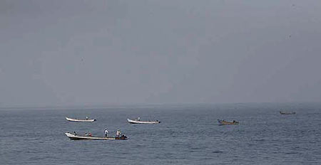 Thousands of dolphins block Somali pirates