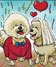 Luxury wedding for dogs