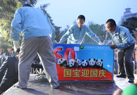 Six pandas arrive in Beijing for anniversary celebration