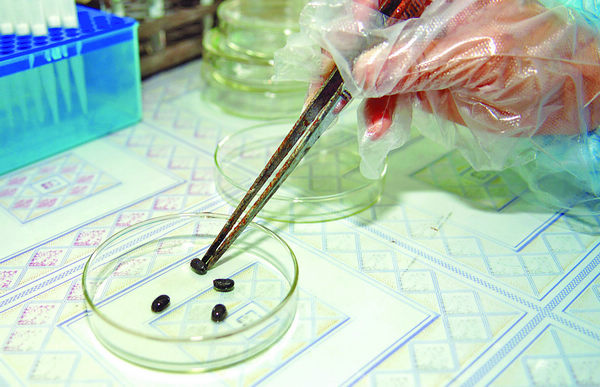 Officials take action after reports of tick infections