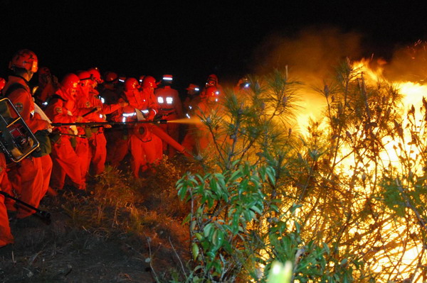 Yunnan forest fire under control