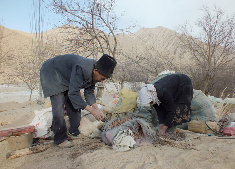 Rescuers help on many fronts after earthquake