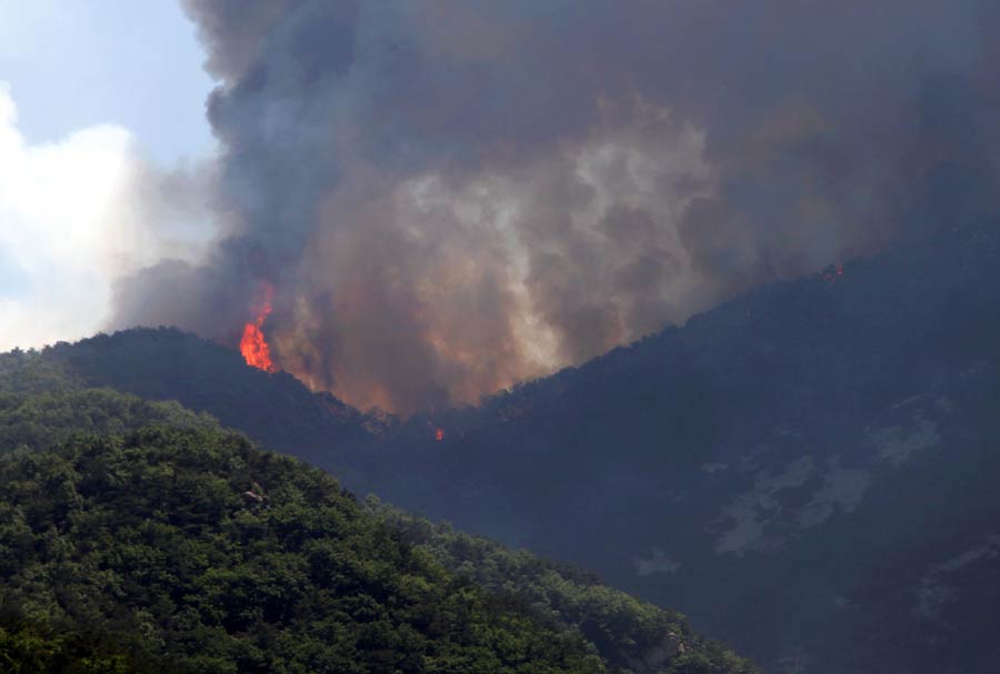 Helicopters sent to quell E China fire
