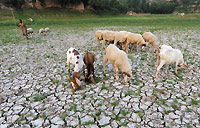 Drought could end 11 years of harvest growth