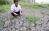 Drought could end 11 years of harvest growth