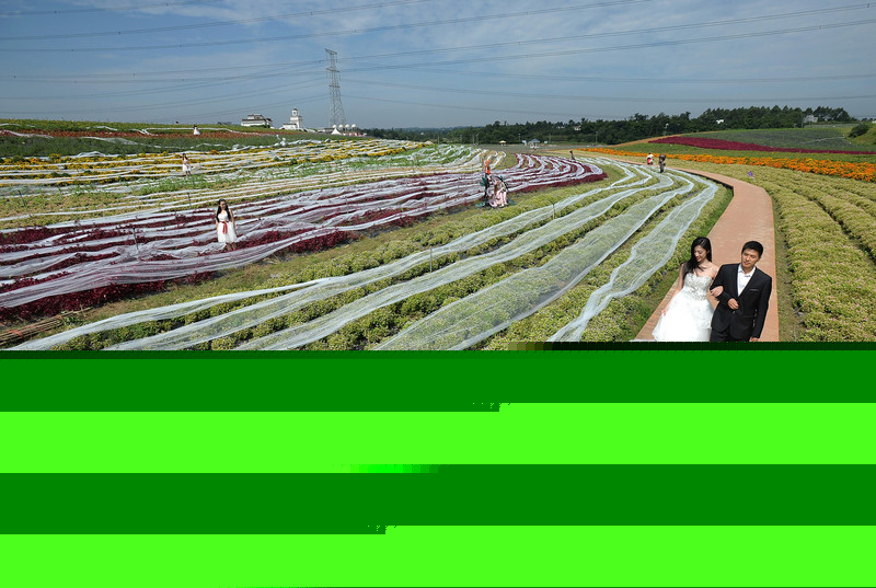 4,100m wedding dress to apply for Guinness book of records