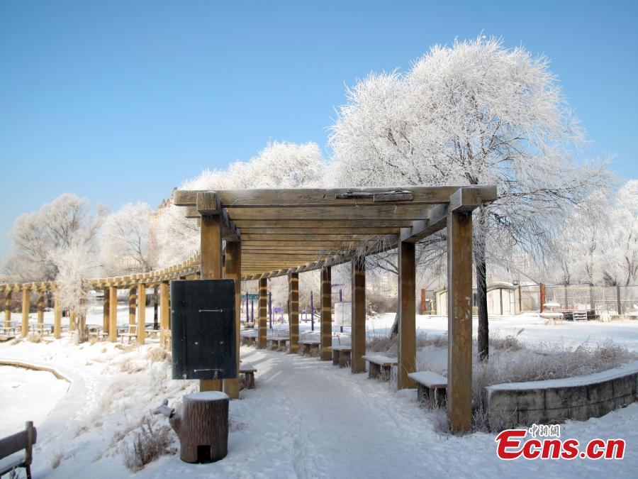 Later arrival of rime still an attraction in Jilin