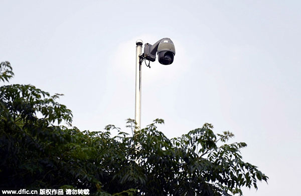 Psychic animals recruited to help predict earthquakes