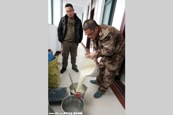 Six calves cloned simultaneously in Henan