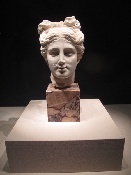 Splendor of ancient Rome goes on display in Sichuan museum