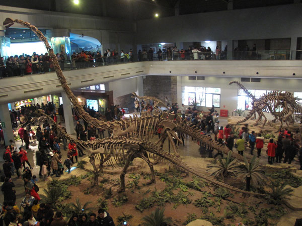 Huge visitor demand sees Zigong lantern festival extended