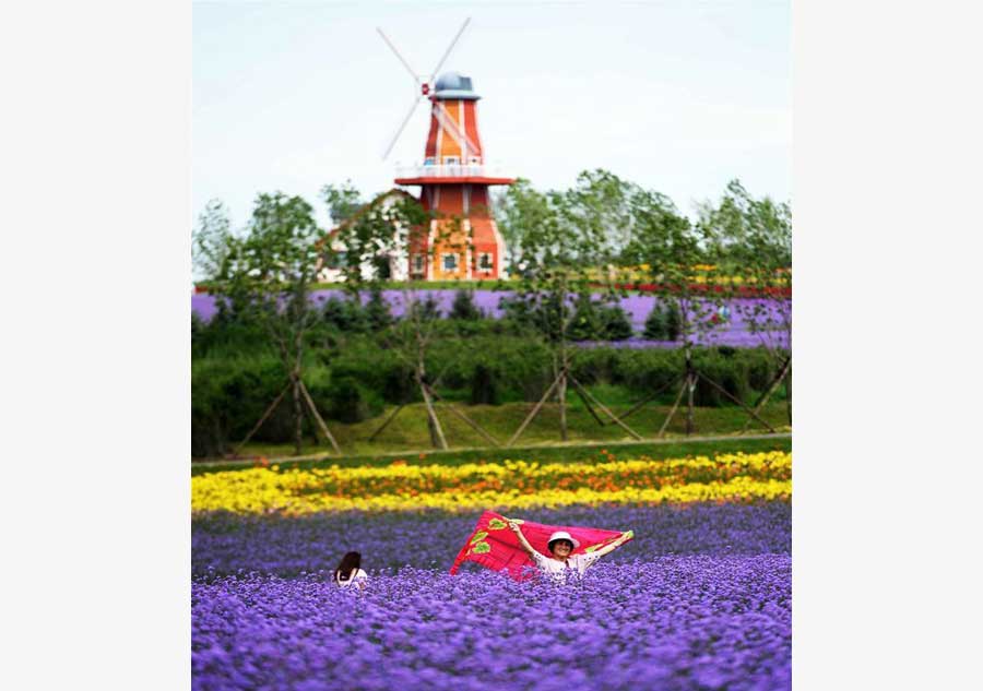 Lavender field attracts visitors in NE China