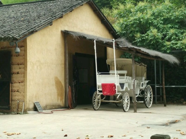 Foreign investors flock to exotic tourist haven