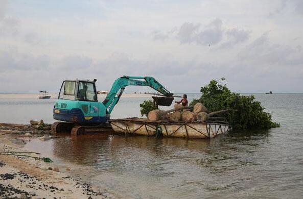 Planting trees in Sansha: An unusual task