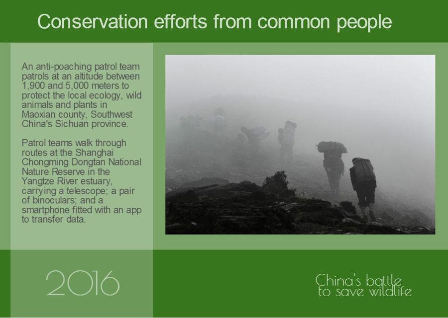 Year in Review: China's battle to save wildlife in 2016