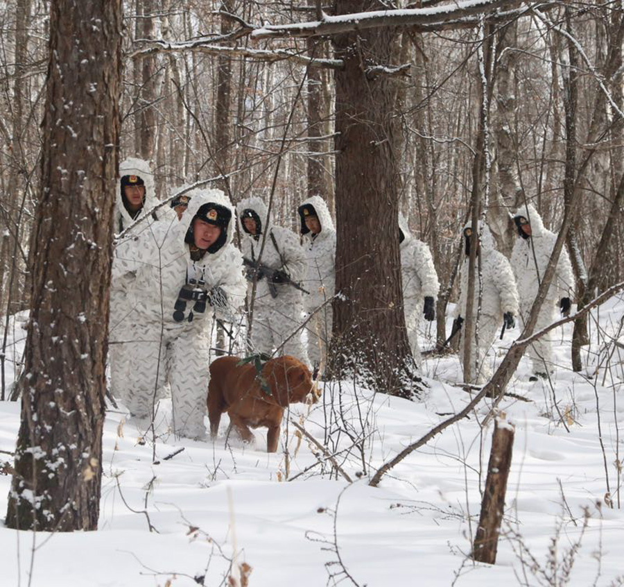 Bomb-sniffing dog retires after 7 years' service