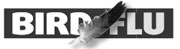 Beijing bans entry of live poultry