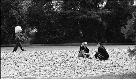 'DPRK may face worse food woe'