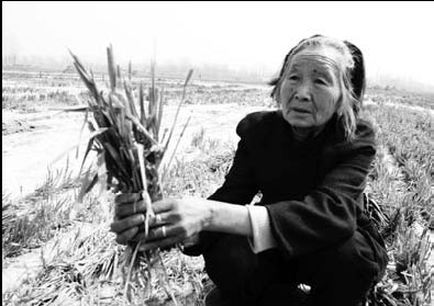 Probe launched in land seizure