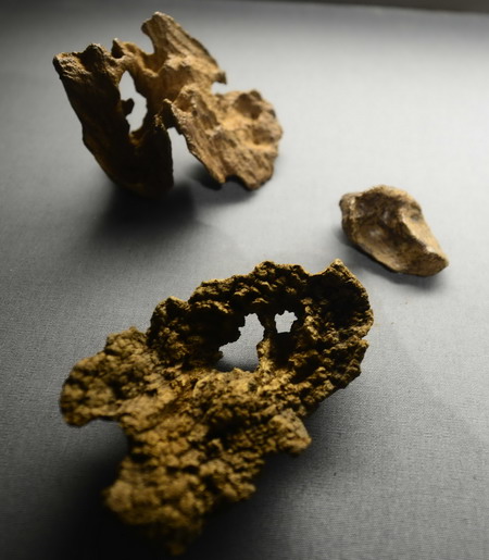 A feast for your senses