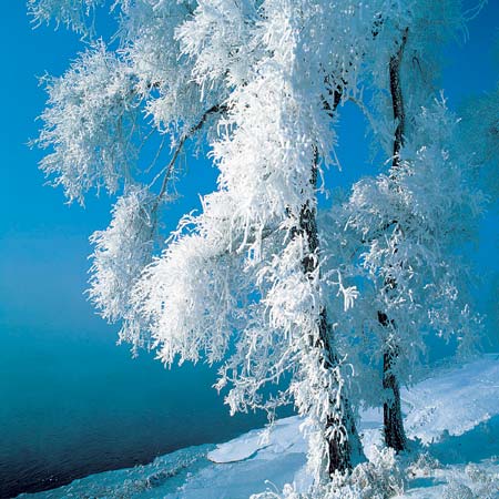 最美雪景 吉林霧凇