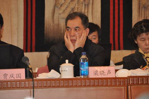 梁曉聲委員:“灰社會”比黑社會更可怕