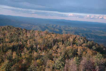 首屆中國(guó)•黑龍江鶴崗國(guó)際界江旅游節(jié)即將隆重開(kāi)幕