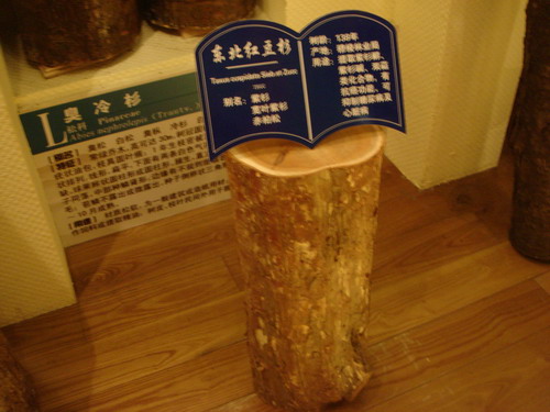 網(wǎng)絡(luò)媒體龍江行參觀穆棱遠東林木博物館