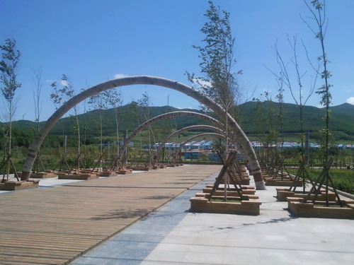 網絡媒體龍江行一行參觀赫哲新村體驗赫哲族民族風情