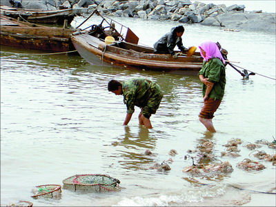 中秋賞月吃螃蟹 個性自駕邊吃邊玩