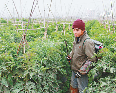 新春走基層 神州遞心聲