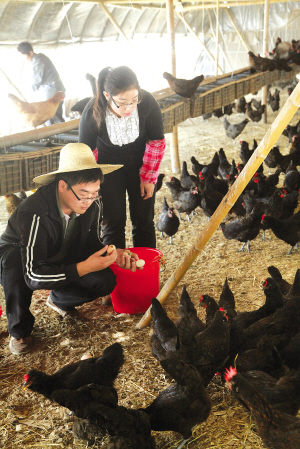 大學生村官郭帥阮江南創業中收獲愛情（組圖）