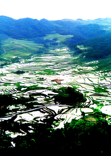 第四屆黔南旅發(fā)大會(huì)華麗開幕 魅力貴定感受布依風(fēng)情