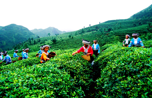 第四屆黔南旅發(fā)大會(huì)華麗開幕 魅力貴定感受布依風(fēng)情