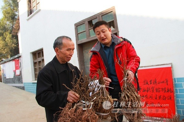 新春走基層：節(jié)前鄉(xiāng)鎮(zhèn)干部不應(yīng)酬迎檢而是下村調(diào)查服務(wù)