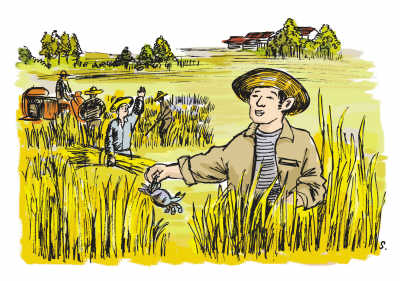 我這五年：農民種稻種出好生活