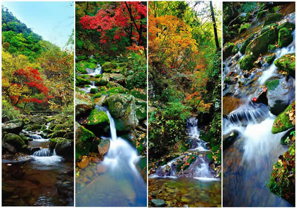 三句話 解讀崛起的撫順