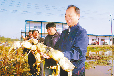 履職為民四年間