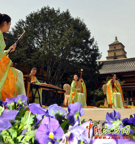 尋秦掠影:近看長安花(組圖)