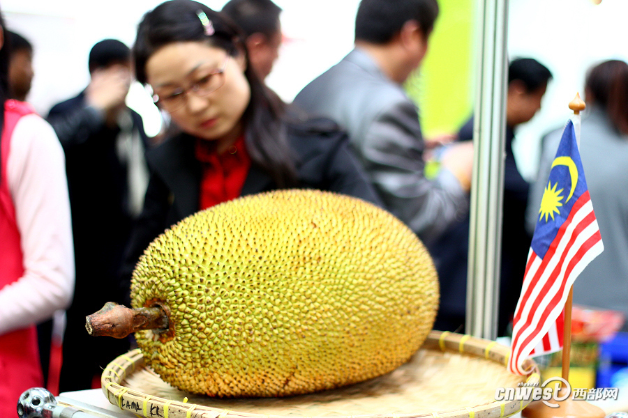 西洽會上展品琳瑯滿目 觀者目不暇接