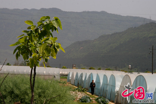 被沼氣改變的天雄村：廣元低碳重建的農業樣本