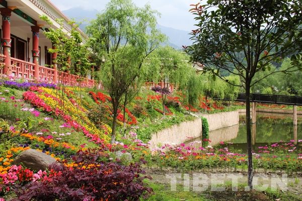 四川阿壩三江：從殘?jiān)珨啾诘剿l(xiāng)藏寨