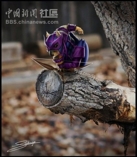 元芳很忙！細(xì)數(shù)那些一個(gè)不小心就火起來(lái)的“忙人”