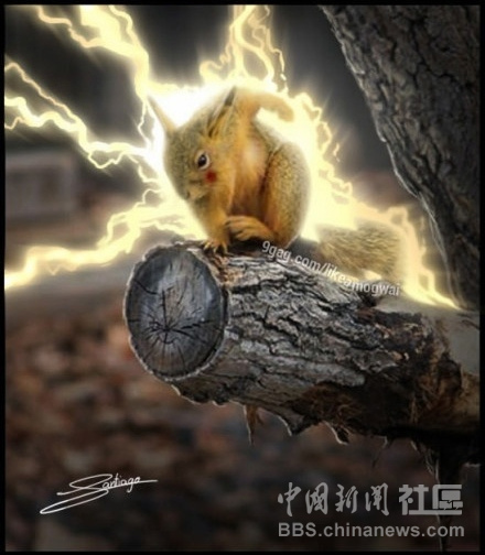 元芳很忙！細數那些一個不小心就火起來的“忙人”